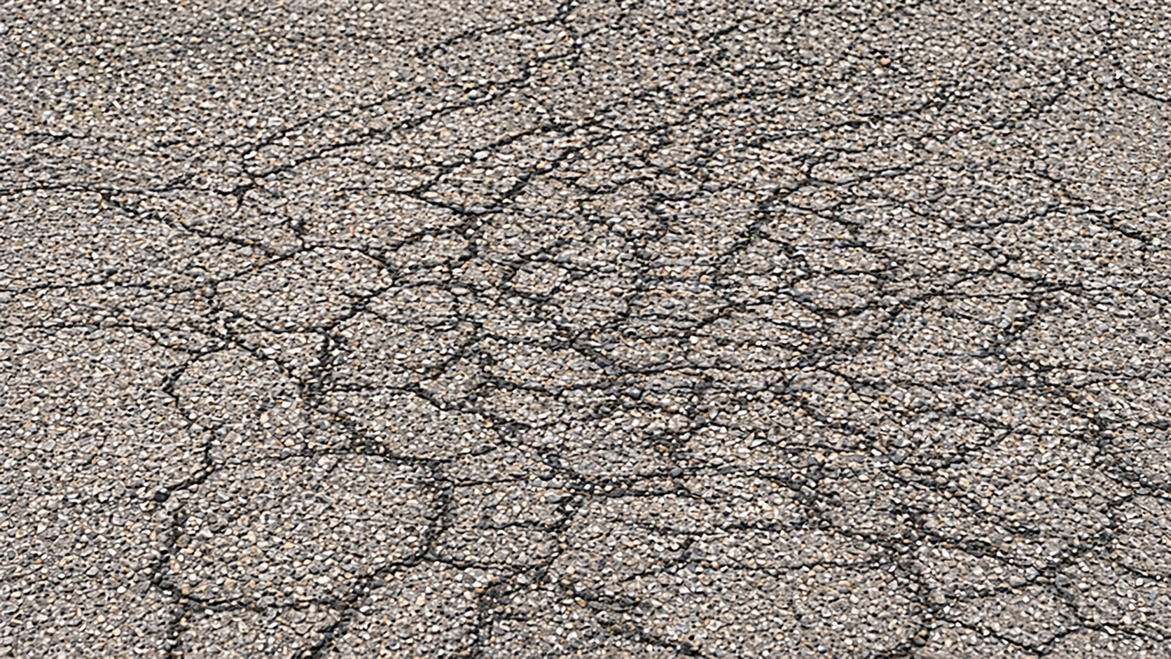 Alligator Cracks